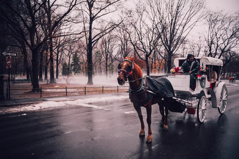 Центральний парк Фіакр