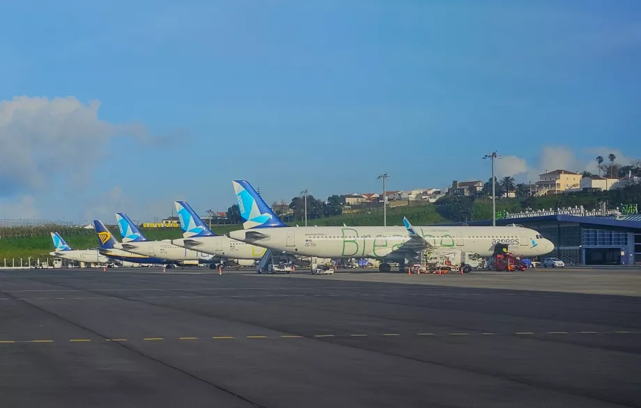 Літак Azores Airlines в аеропорту Понта-Делгада