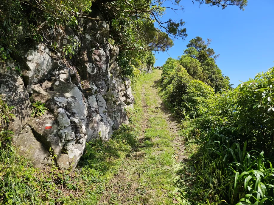 Позначка на скелі, trilho Ponta Ruiva-Cedros