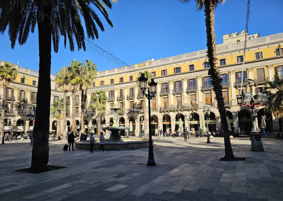 Placa Reial