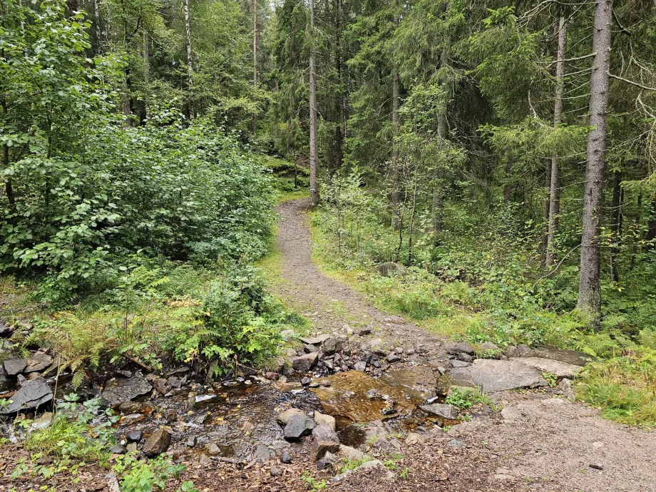 Піші прогулянки в Осло