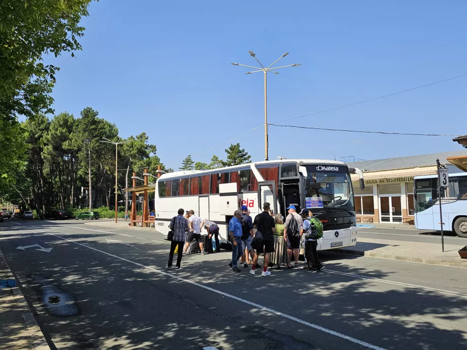 Міжміський автобусний напрямок Варна