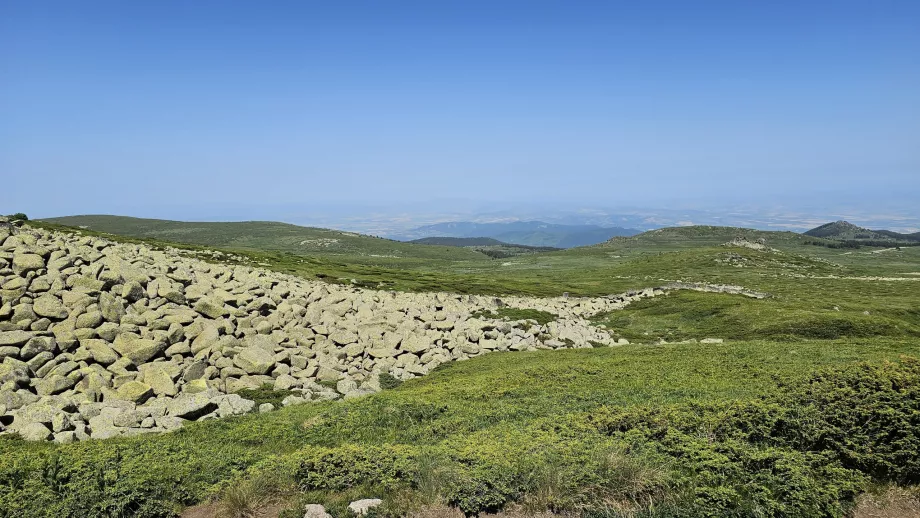 Краєвиди в горах Вітоша