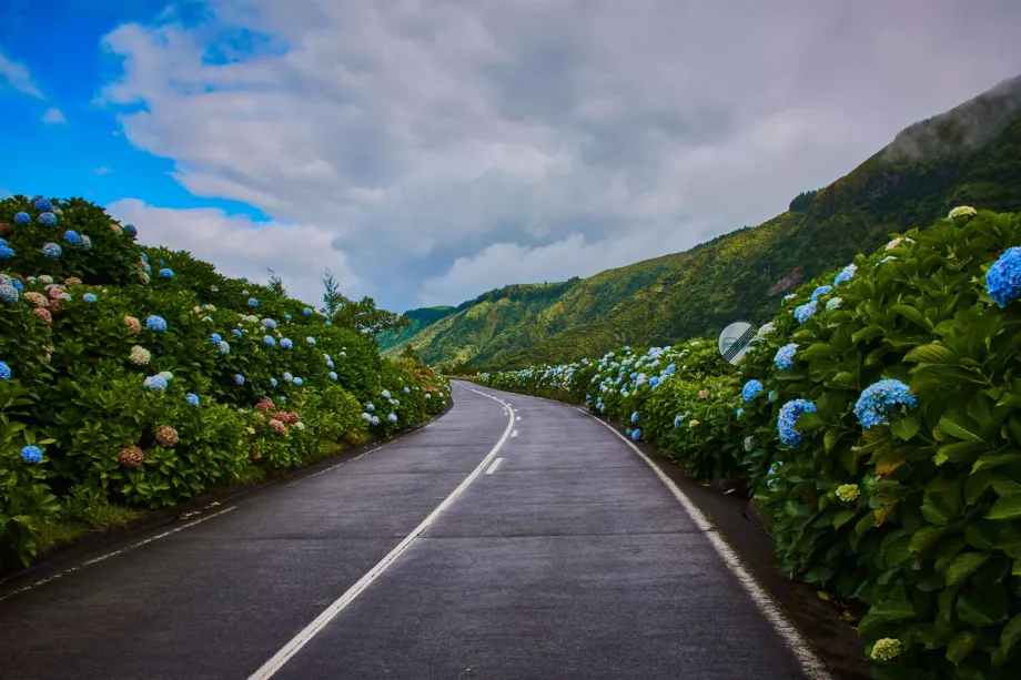 Sao Miguel road